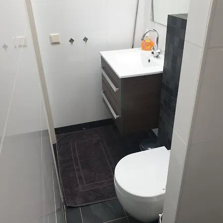 De Kievit, 10 Min Van Asml En Medisch Centrum Maxima Vakantiehuis Riethoven